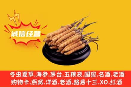 罗平县回收冬虫夏草